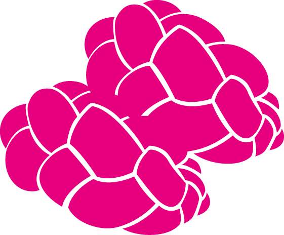 pink challah